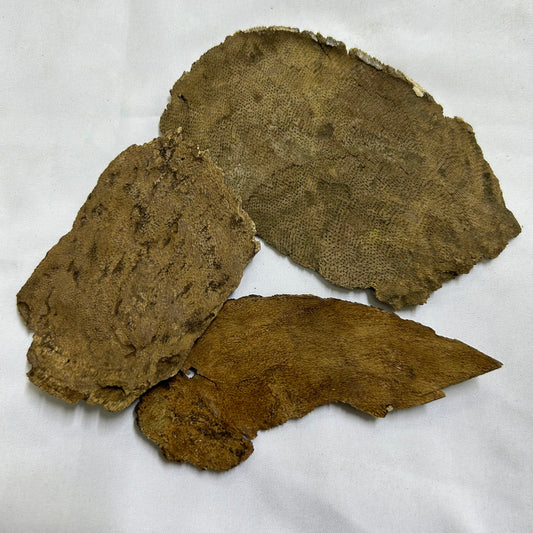 Double super Gaf (char)