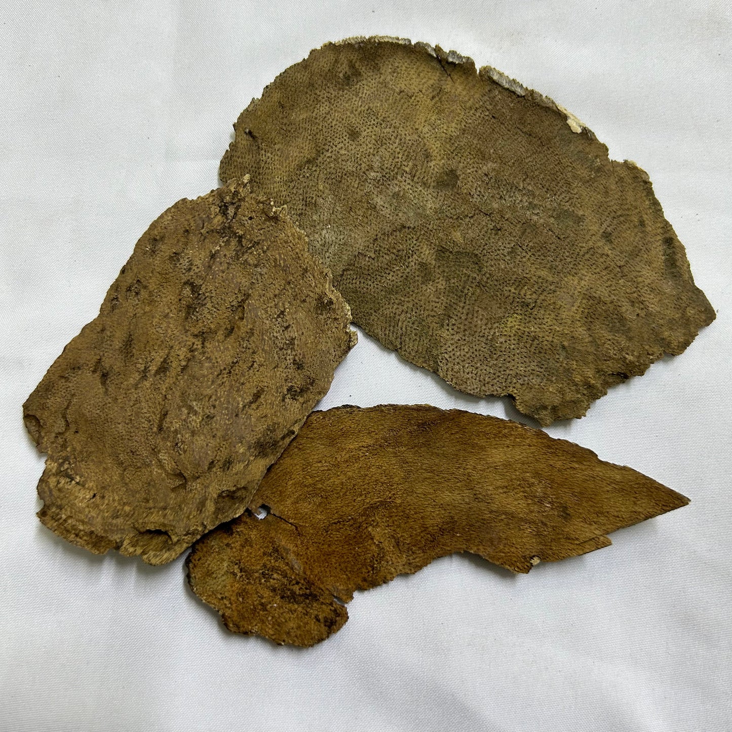 Double super Gaf (char)